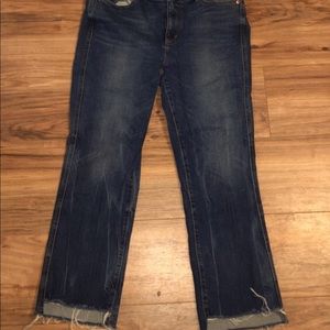 Ann Taylor Loft NWT petite jeans sz31